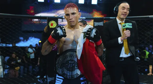 Artes Marciales Mixtas Artes Marciales Mixtas