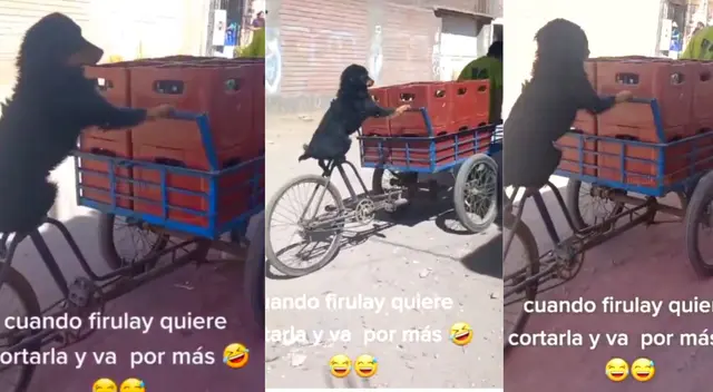 "Firulais" parece hasta vendedor de cerveza en las imágenes.