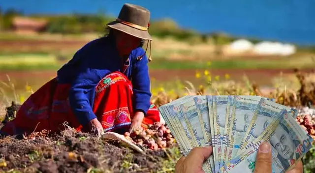 Conoce a cuánto asciende el monto del Fertiabono. Conoce a cuánto asciende el monto del Fertiabono.