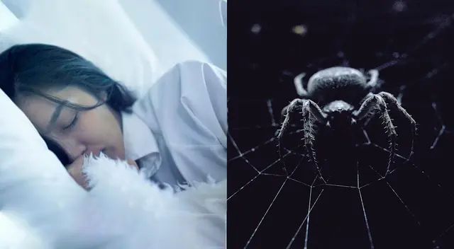 Las interpretaciones de los sueños dependen de cada persona. Aquí te contamos que significa soñar con arañas negras. Las interpretaciones de los sueños dependen de cada persona. Aquí te contamos que significa soñar con arañas negras.