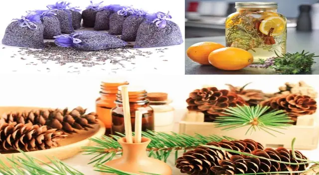 Aromatiza de manera natural tu casa. Aromatiza de manera natural tu casa.