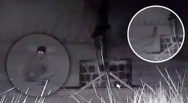 El supuesto fenómeno paranormal en Cusco dejó con los pelos de punta a más de uno y generó todo tipo de reacciones en redes sociales. El supuesto fenómeno paranormal en Cusco dejó con los pelos de punta a más de uno y generó todo tipo de reacciones en redes sociales.