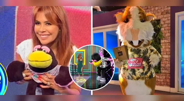 Magaly Medina habla sobre el cuy de En Boca de Todos. Magaly Medina habla sobre el cuy de En Boca de Todos.