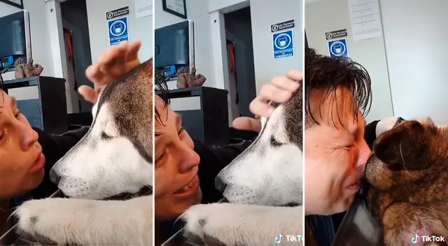 La joven se despidió de su adorada mascota tras 12 años de amistad y compañía. La joven se despidió de su adorada mascota tras 12 años de amistad y compañía.