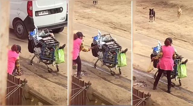 La señora fue captada por un vecino que vio cómo recogía los anticuchos del piso y los ponía sobre su carrito. La señora fue captada por un vecino que vio cómo recogía los anticuchos del piso y los ponía sobre su carrito.
