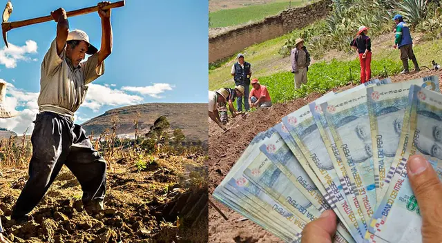 Conoce AQUÍ si eres beneficiario del Bono agrario