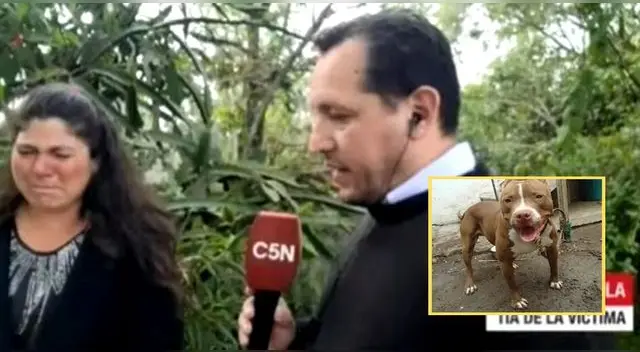 El dueño del perro pitbull acudió a la policía y fue detenido hasta que inicie el juicio de imputación.