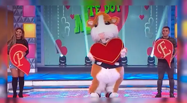 La cantante Paula Manzanal y Eduardo Rabanal estuvieron en secuencia de amor del programa En boca de todos y revelaron detalles de su vínculo como "socios".