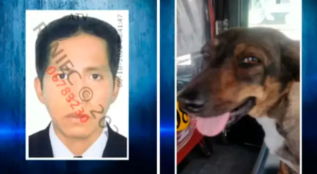 Roberto Dante Huallas Huamán habría abusado sexualmente de la perrita de su vecina, en Comas. Roberto Dante Huallas Huamán habría abusado sexualmente de la perrita de su vecina, en Comas.