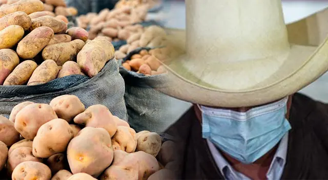 Gestión de Pedro Castillo es criticada por no cumplir promesa de los fertilizantes.