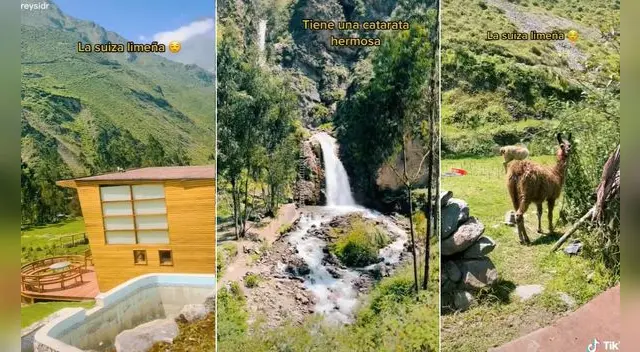 El video no tardó en volverse viral en las redes sociales.