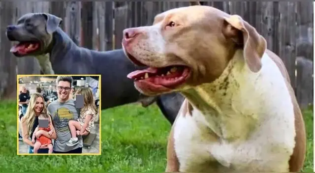Hollace Dean y su hermanita, Lilly Jane, murieron en su casa atacados por los dos pitbull, quienes tenían ocho años con la familia en Estados Unidos.