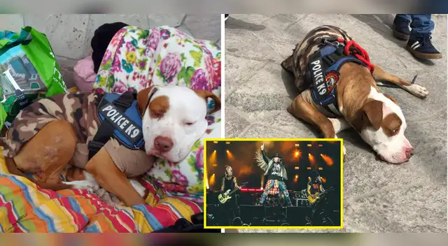 Carrocho Duff acompañó a fanáticos de Guns N' Roses.