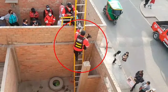 Serenazgo de Puente Piedra treparon pared para rescatar a los indefensos animales.