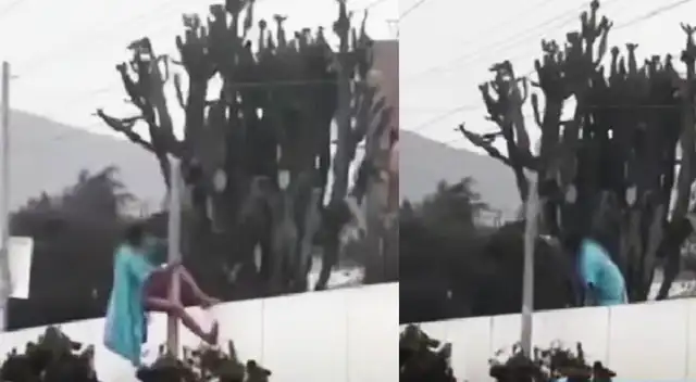 Paciente trepando muro en hospital en San Martín de Porres