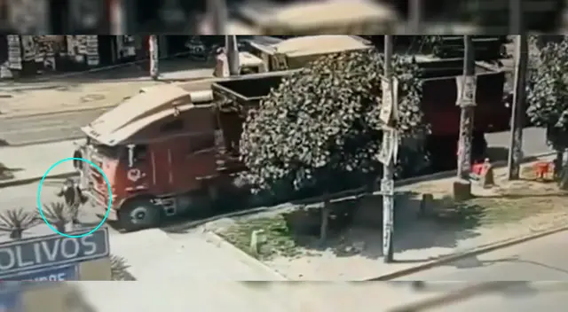 Mujer a punto de ser atropellada por camión en Los Olivos Mujer a punto de ser atropellada por camión en Los Olivos