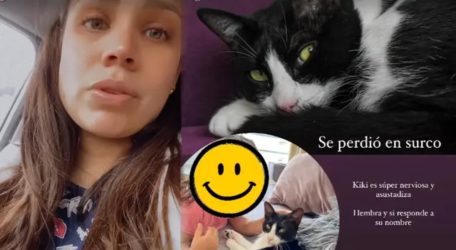 Andrea San Martín pide ayuda para encontrar a su gatita 'Kiki'.