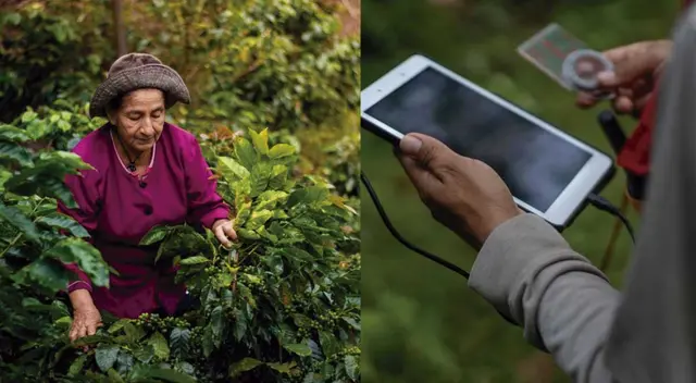la tecnología contribuye a mejorar los sistemas agroforestales
