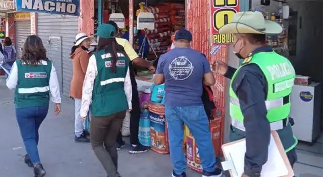 Entre los animales incautados figuran 11 culebras, 5 lagartijas.