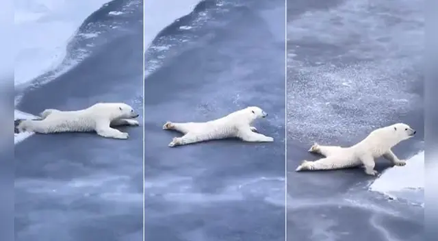 El video es viral en las redes sociales.