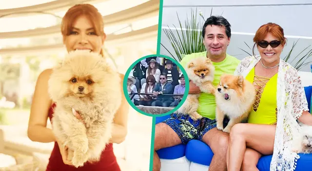 Magaly cuestionada por asistir a corrida de toros: “Su cariño por los animales solo es para Instagram” Magaly cuestionada por asistir a corrida de toros: “Su cariño por los animales solo es para Instagram”
