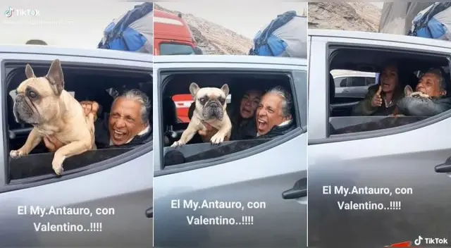 Antauro Humala fue captado sacando medio cuerpo de su perrito mientras estaban en el auto y es viral en TikTok.