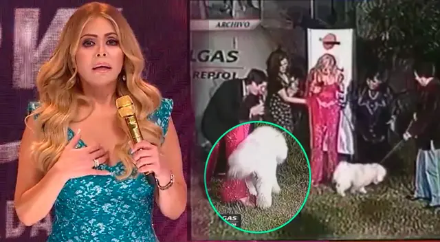 Gisela Valcárcel y la vez que un tierno perrito le orina las piernas. Magaly Medina lo tilda de 'héroe'. Gisela Valcárcel y la vez que un tierno perrito le orina las piernas. Magaly Medina lo tilda de 'héroe'.