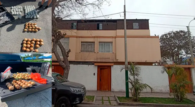 La vivienda intervenida donde hallaron las cebollas con la droga