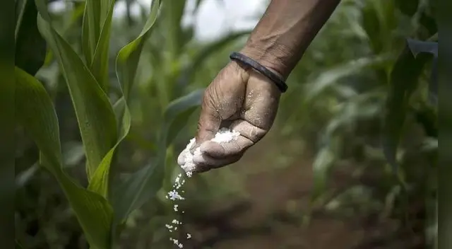 Midagri logró comprar 44 mil toneladas de urea