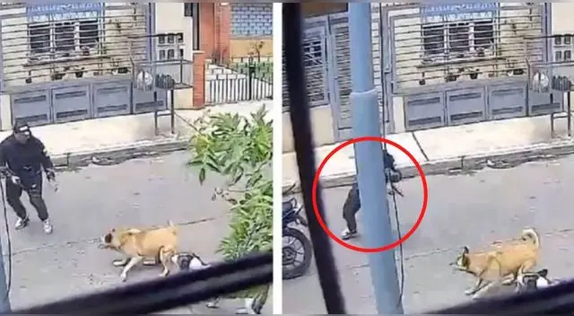 La escena captada por una cámara de seguridad registró el preciso momento cuando las perritas callejeras salen a defender al señor.