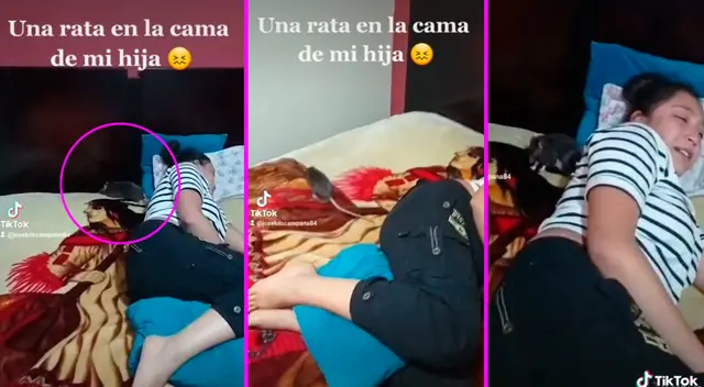 La joven estaba durmiendo en su cama cuando la rata apareció a su lado.