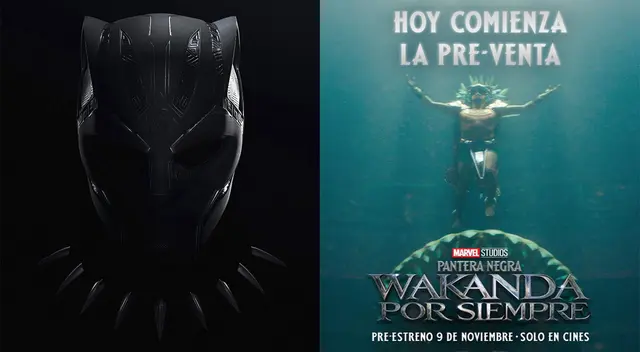 Pantera Negra: Wakanda por Siempre Pantera Negra: Wakanda por Siempre