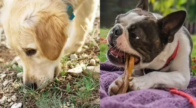 Un aumento en el apetito puede ser señal de estrés o ansiedad.