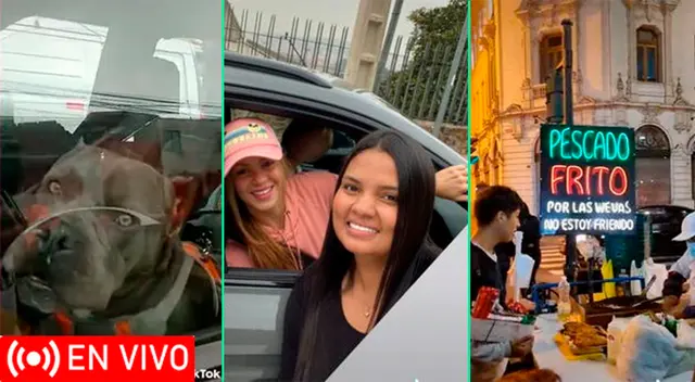 Conoces cuáles son los principales TIKTOKs de HOY sábado 22 de octubre del 2022. Conoces cuáles son los principales TIKTOKs de HOY sábado 22 de octubre del 2022.