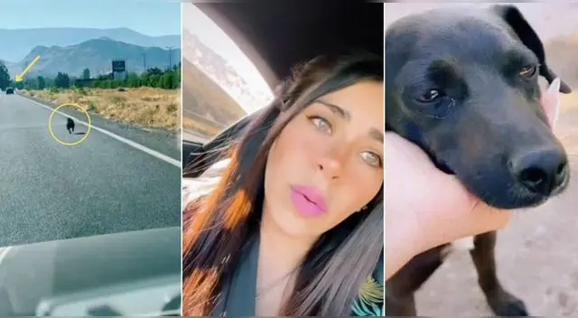La joven de Chile iba camino al trabajo cuando se topó con una desgarradora escena y se hizo viral en TikTok. La joven de Chile iba camino al trabajo cuando se topó con una desgarradora escena y se hizo viral en TikTok.
