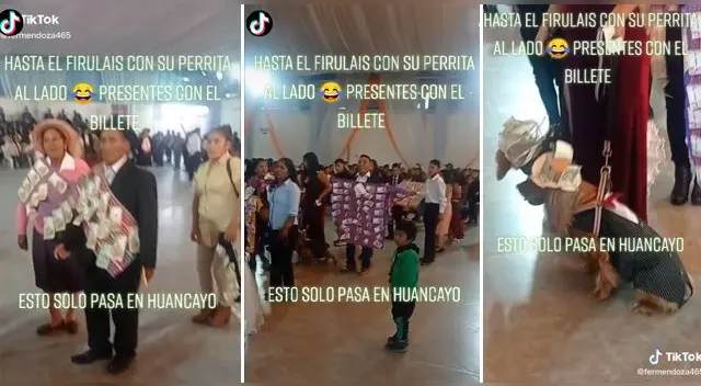 Las carismaticas mascotas llamaron la atención en las redes sociales.