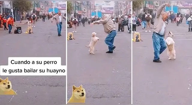 El carismatico can se ha vuelto viral en las redes sociales. El carismatico can se ha vuelto viral en las redes sociales.