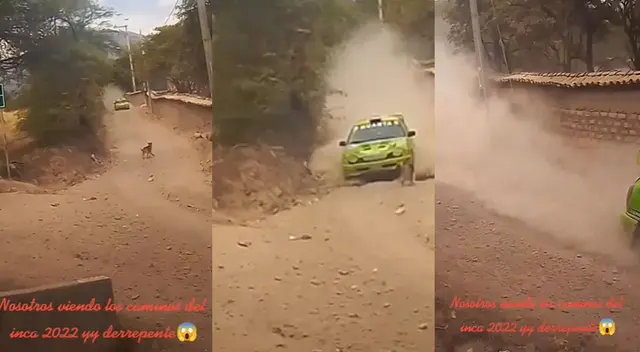 Particular escena de un perro en los Caminos del Inca se hizo viral en TikTok.