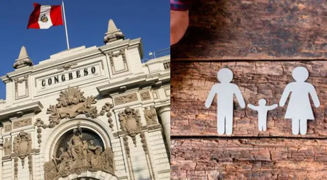 La norma establece que, luego de una separación, la tenencia de los niños, niñas y adolescentes deberá ser asumida por ambos progenitores. La norma establece que, luego de una separación, la tenencia de los niños, niñas y adolescentes deberá ser asumida por ambos progenitores.