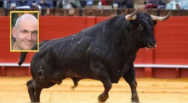 El animal cayó al piso tras ser golpeado con la garrocha, pero cuando vio entrar al carnicero lo atacó a cornadas.