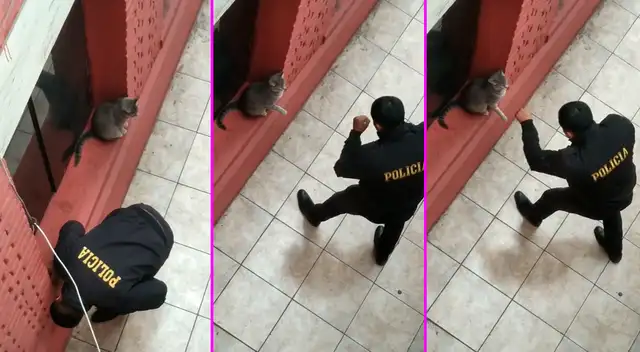 El policía no dudó en detenerse a jugar con el gatito.