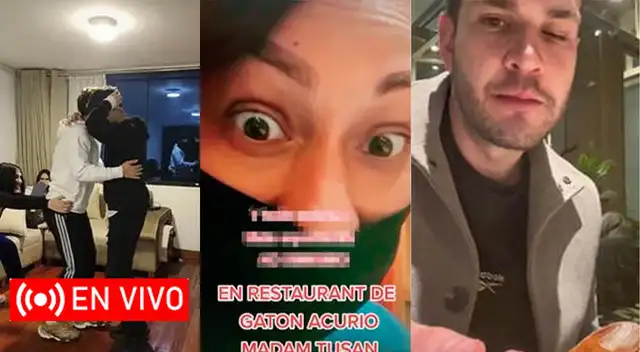 Sigue EN VIVO los mejores vídeos de TikTok de HOY domingo 30 de octubre del 2022