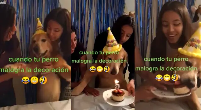 De una bocado se comió la torta. De una bocado se comió la torta.