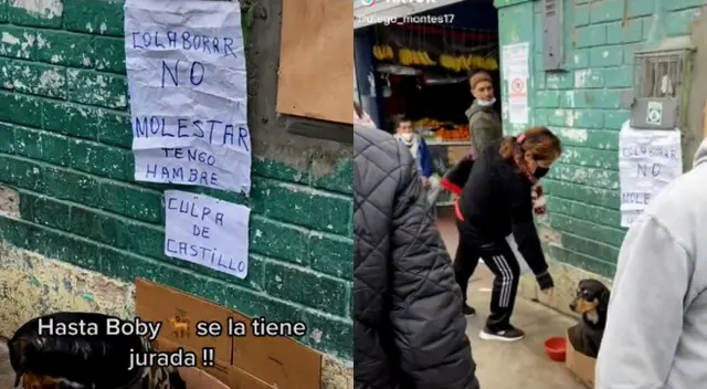 El perro se ganaba de a pocos el corazón de las personas.