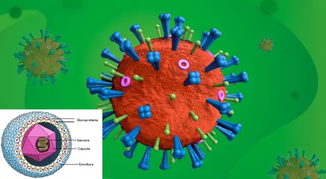 Los virus atacan nuestro organismo y pueden ser mortales.