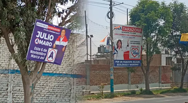 candidatos a alcaldía de Huachipa generan indagación tras dañar árboles en la zona. candidatos a alcaldía de Huachipa generan indagación tras dañar árboles en la zona.