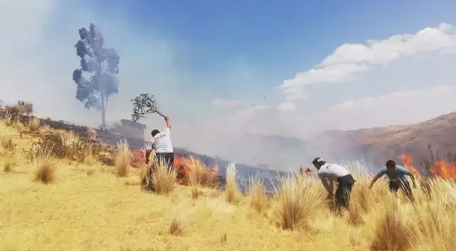 Cabe señalar que el hecho ocurrió también con 30 hectáreas de vegetación en el sector hacienda Huancallusi, donde el fuego alcanzó los cerros colindantes. Cabe señalar que el hecho ocurrió también con 30 hectáreas de vegetación en el sector hacienda Huancallusi, donde el fuego alcanzó los cerros colindantes.