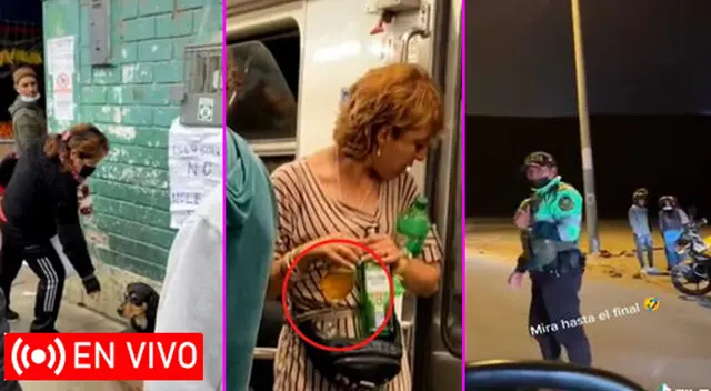 Los mejores TikToks de HOY 3 de noviembre del 2022