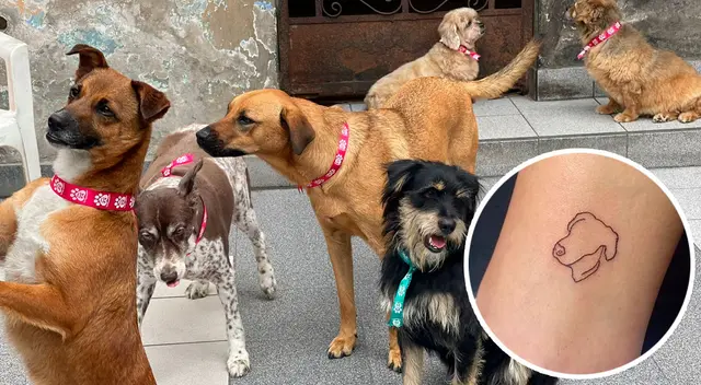 Fundación Rayito realizará el primer festival Tatto Fest 2022. ¿Cuándo y dónde será?