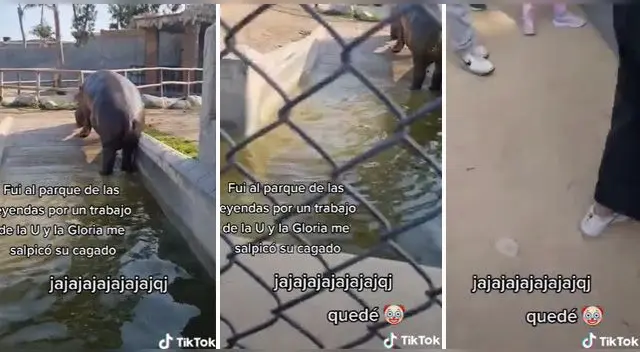 La escena no tardó en volverse viral en las redes sociales. La escena no tardó en volverse viral en las redes sociales.